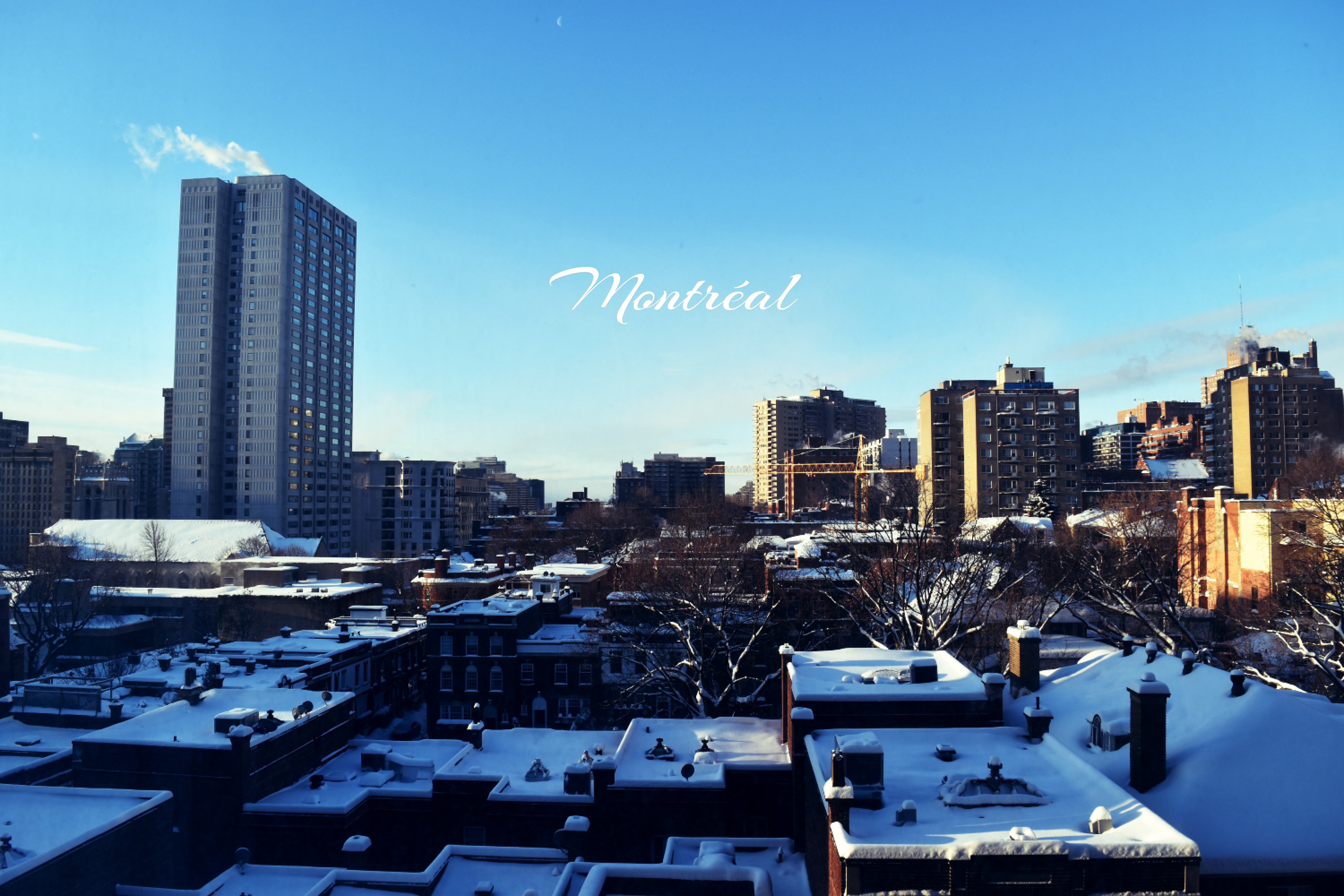 L&rsquo;arrivée au Canada