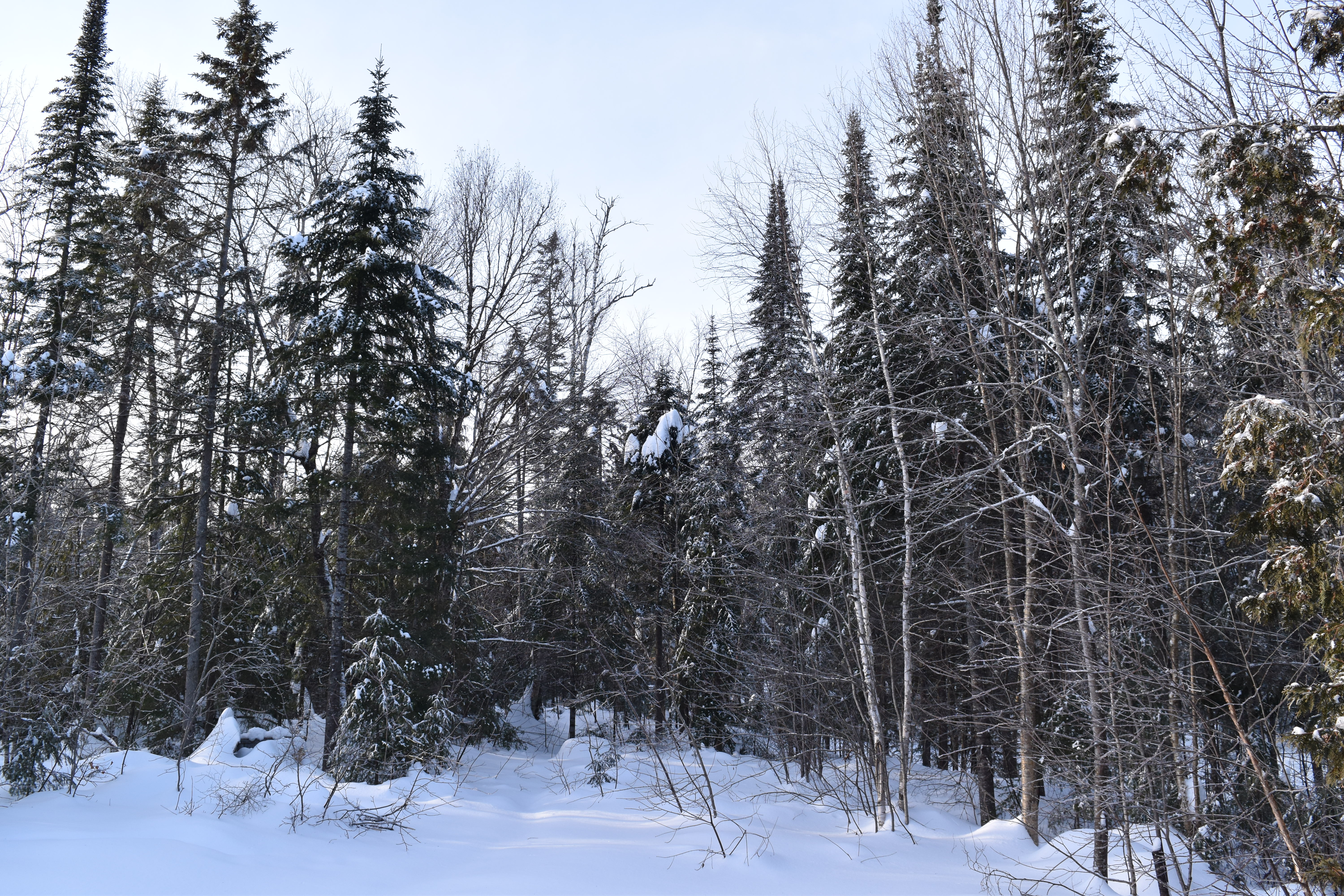 Neige et dérapages contrôlés