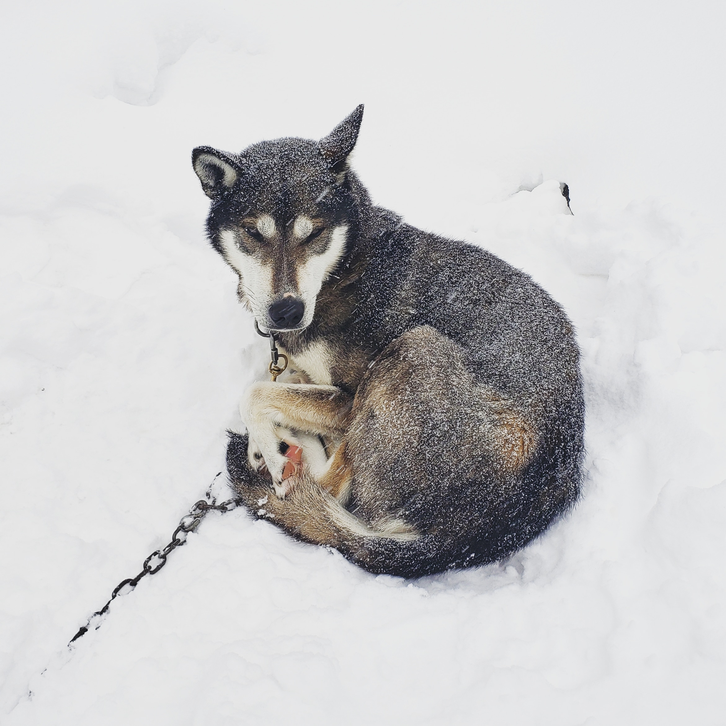 Se déplacer sur les lacs gelés