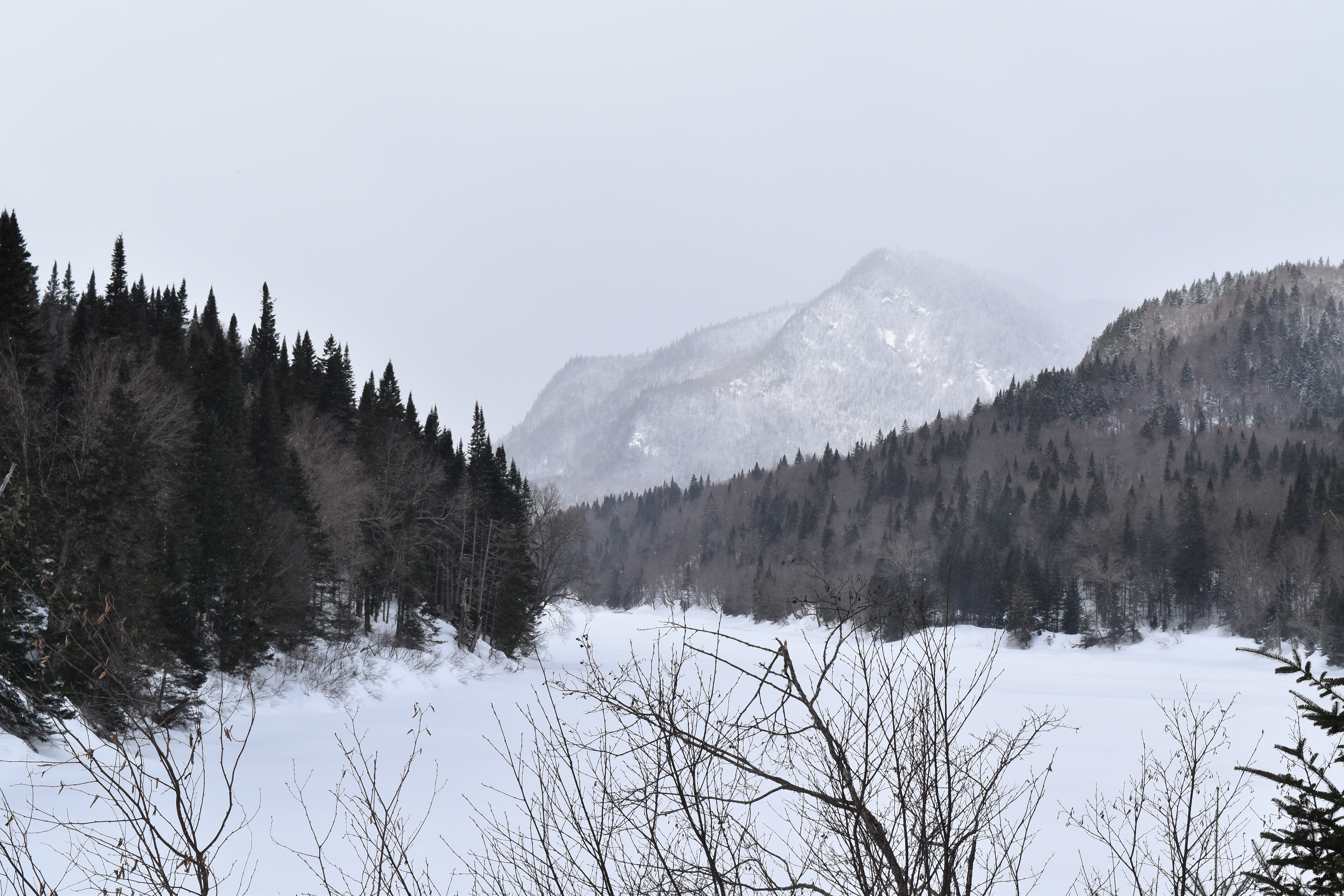 Spring is coming – Randonnée au parc de la Jacques-Cartier