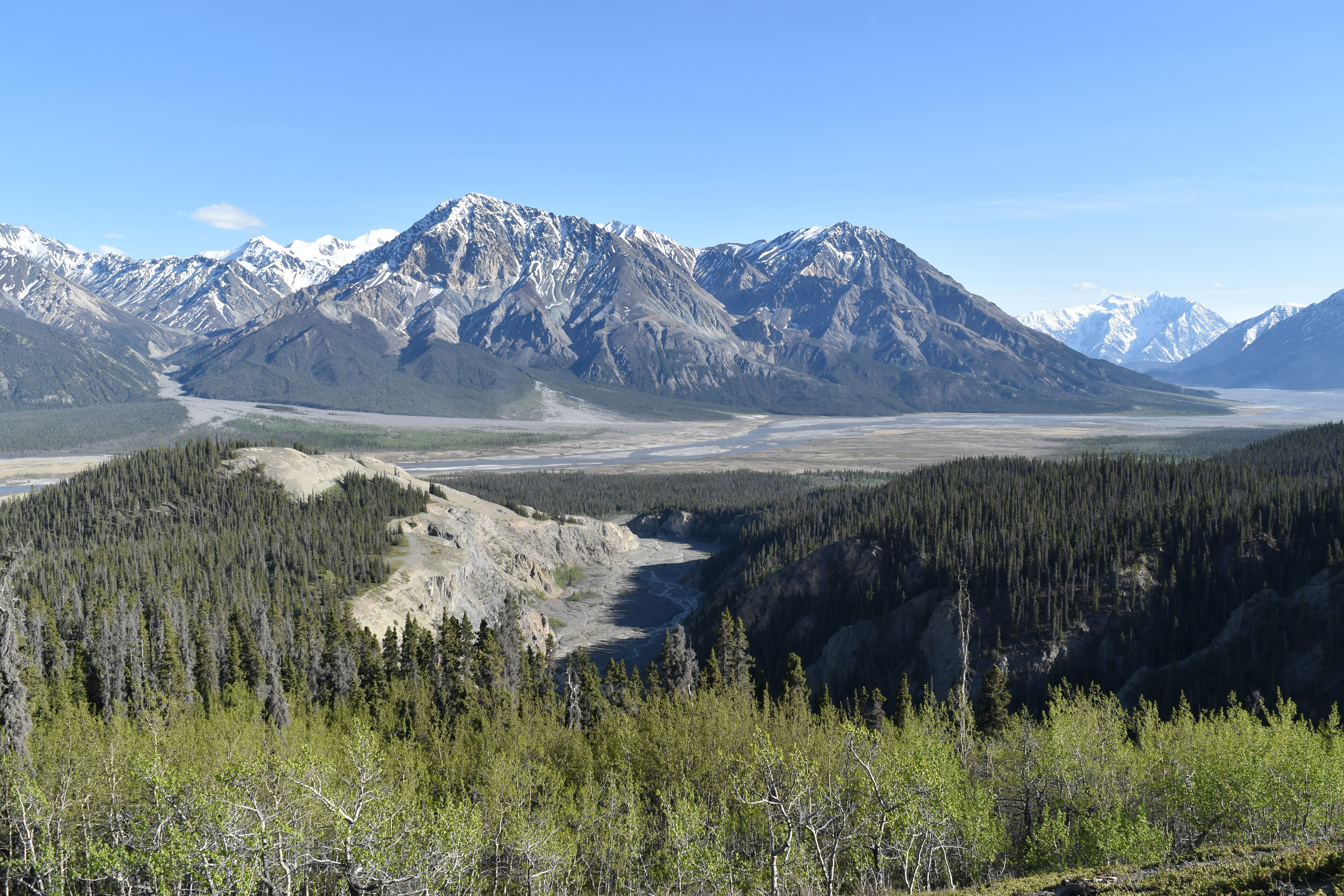 Voyage au Yukon – Première semaine