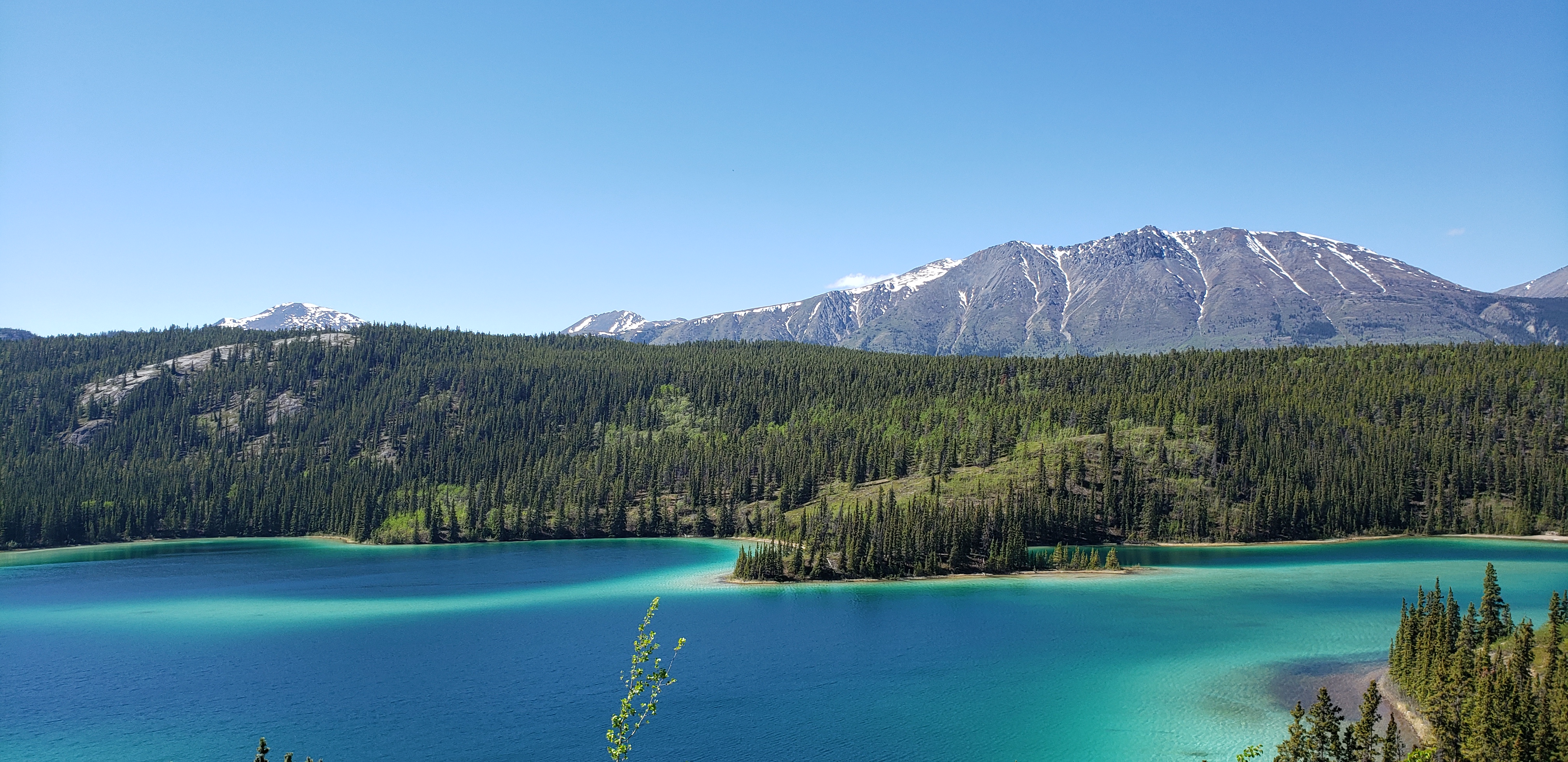 Voyage au Yukon – deuxième semaine