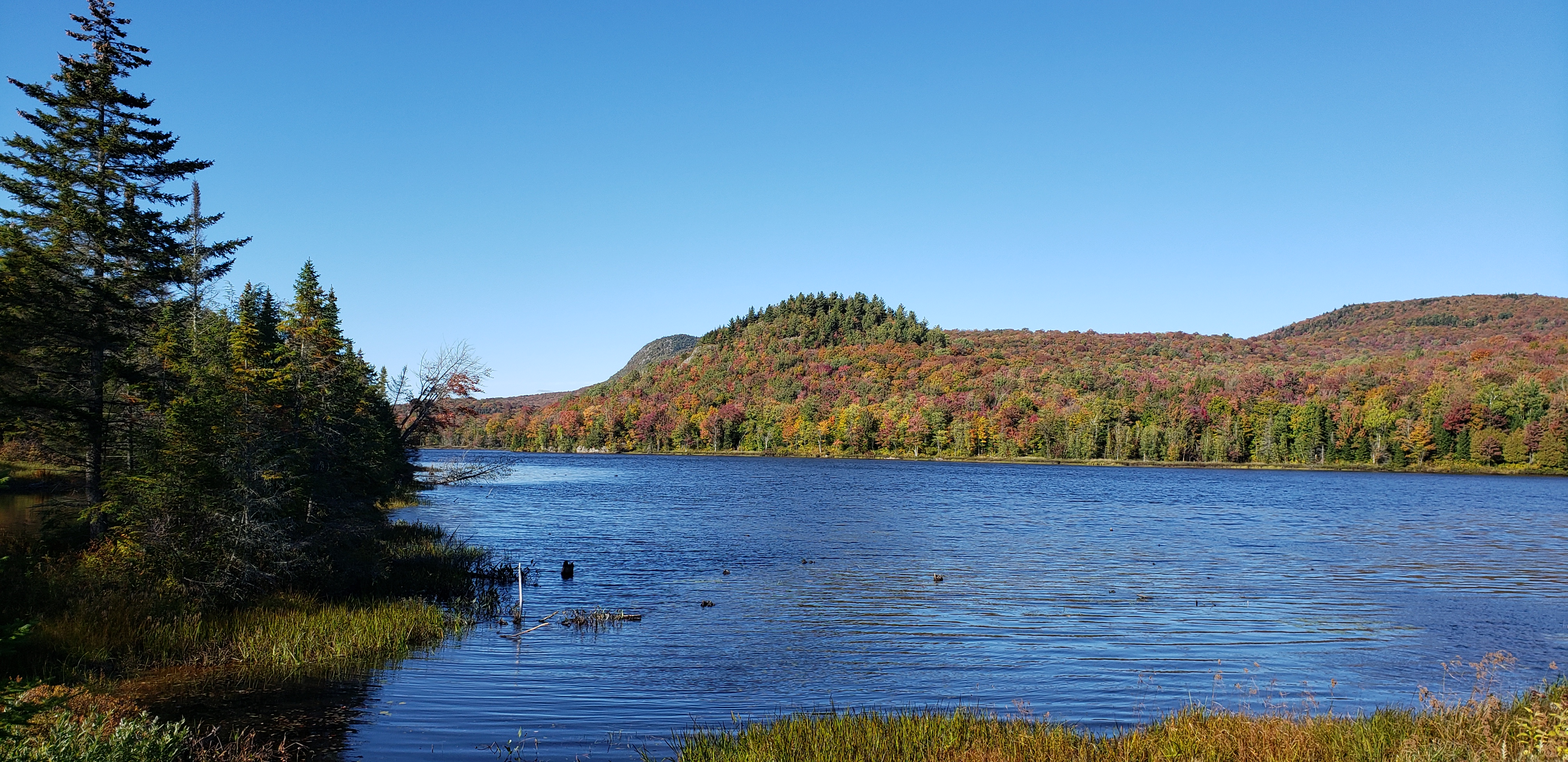 Camping pendant la flambée des couleurs