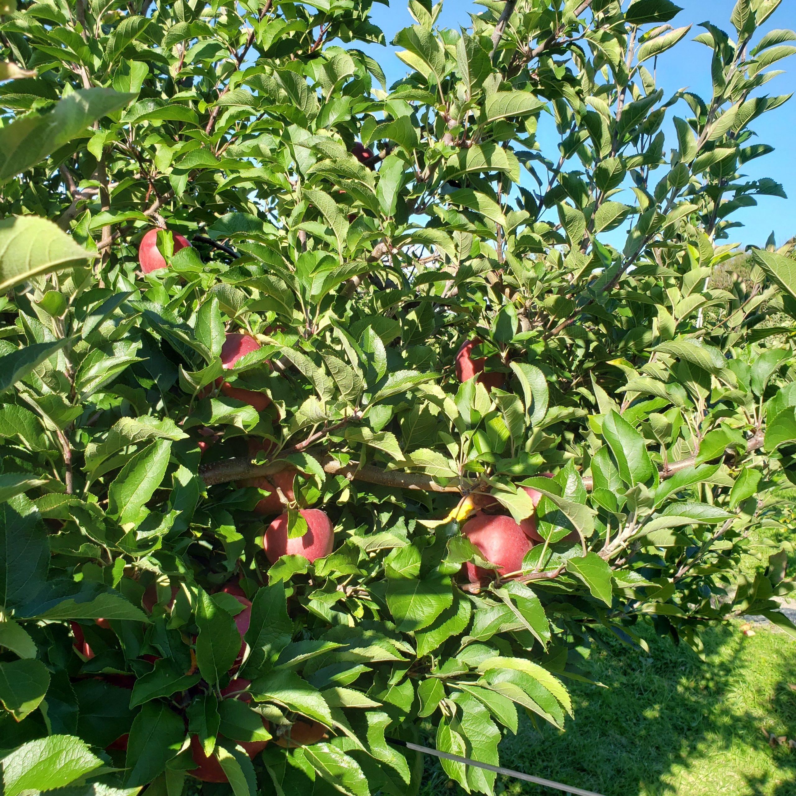 Découverte de l&rsquo;île Perrot