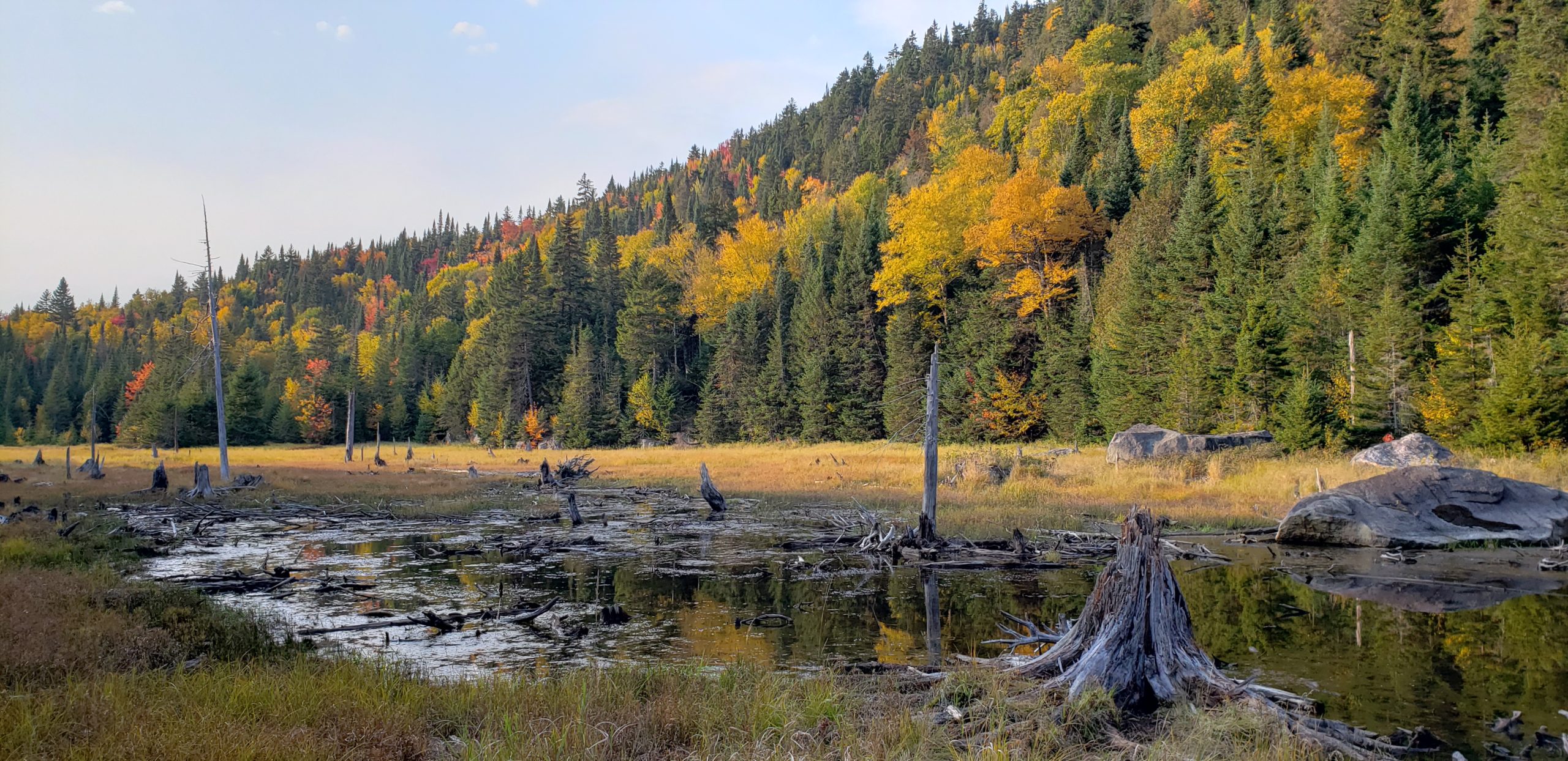 C&rsquo;est l&rsquo;automne et on se reconfine