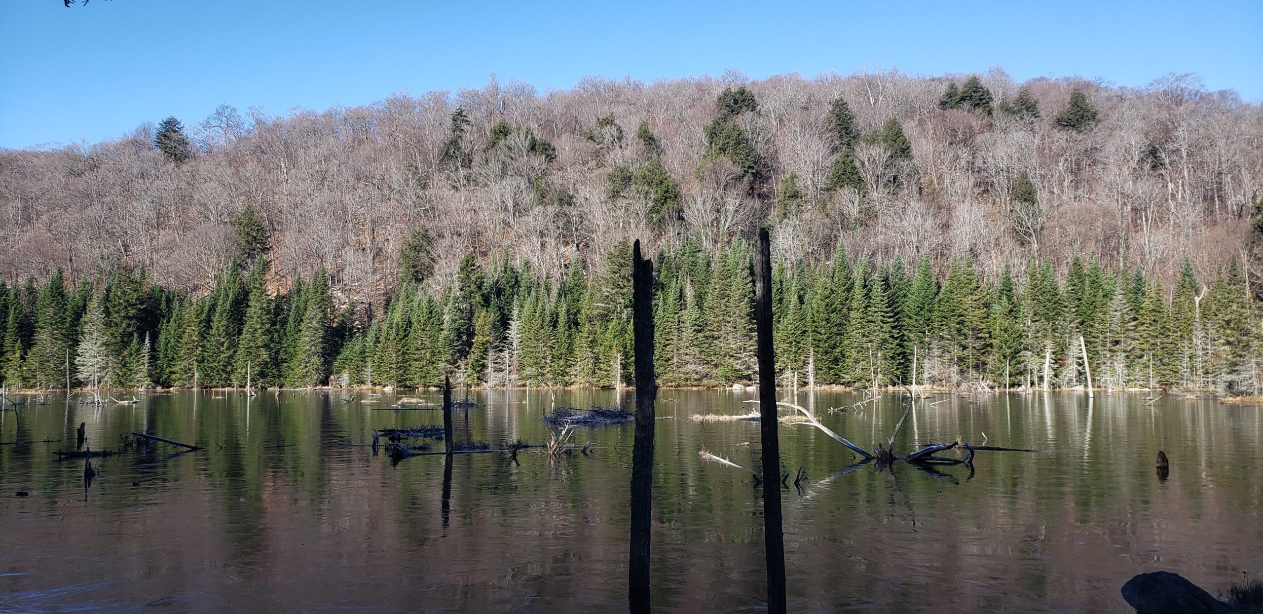 Automne en quatre étapes