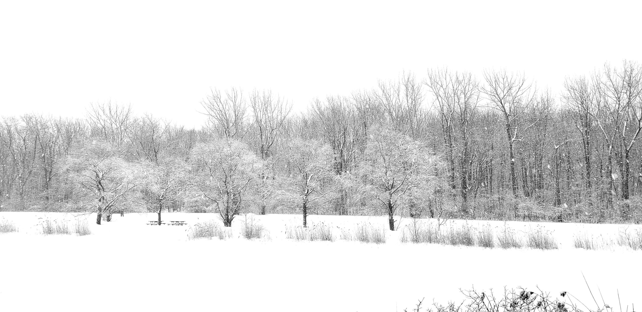 Nos découvertes de février