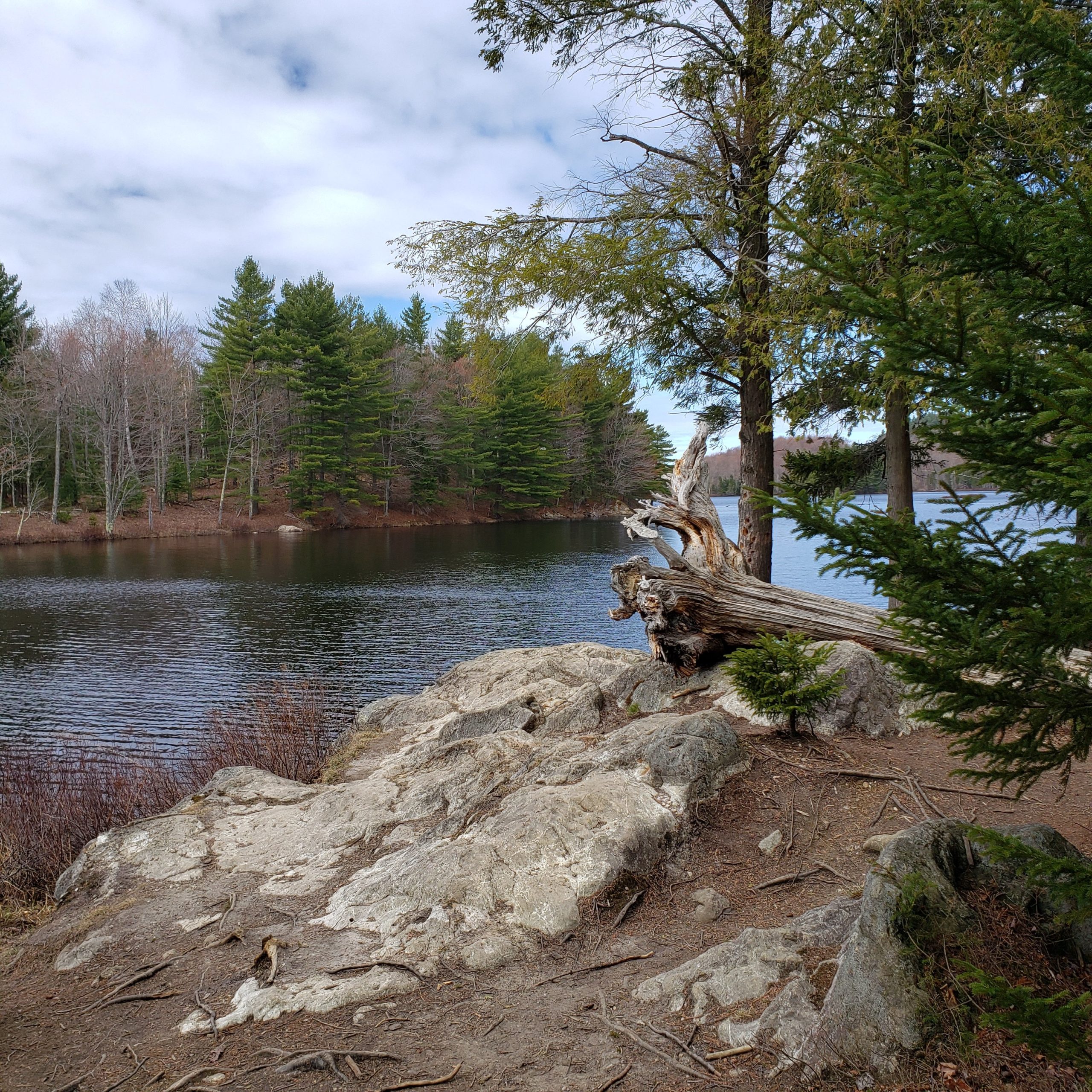 Ce qui est passé en avril