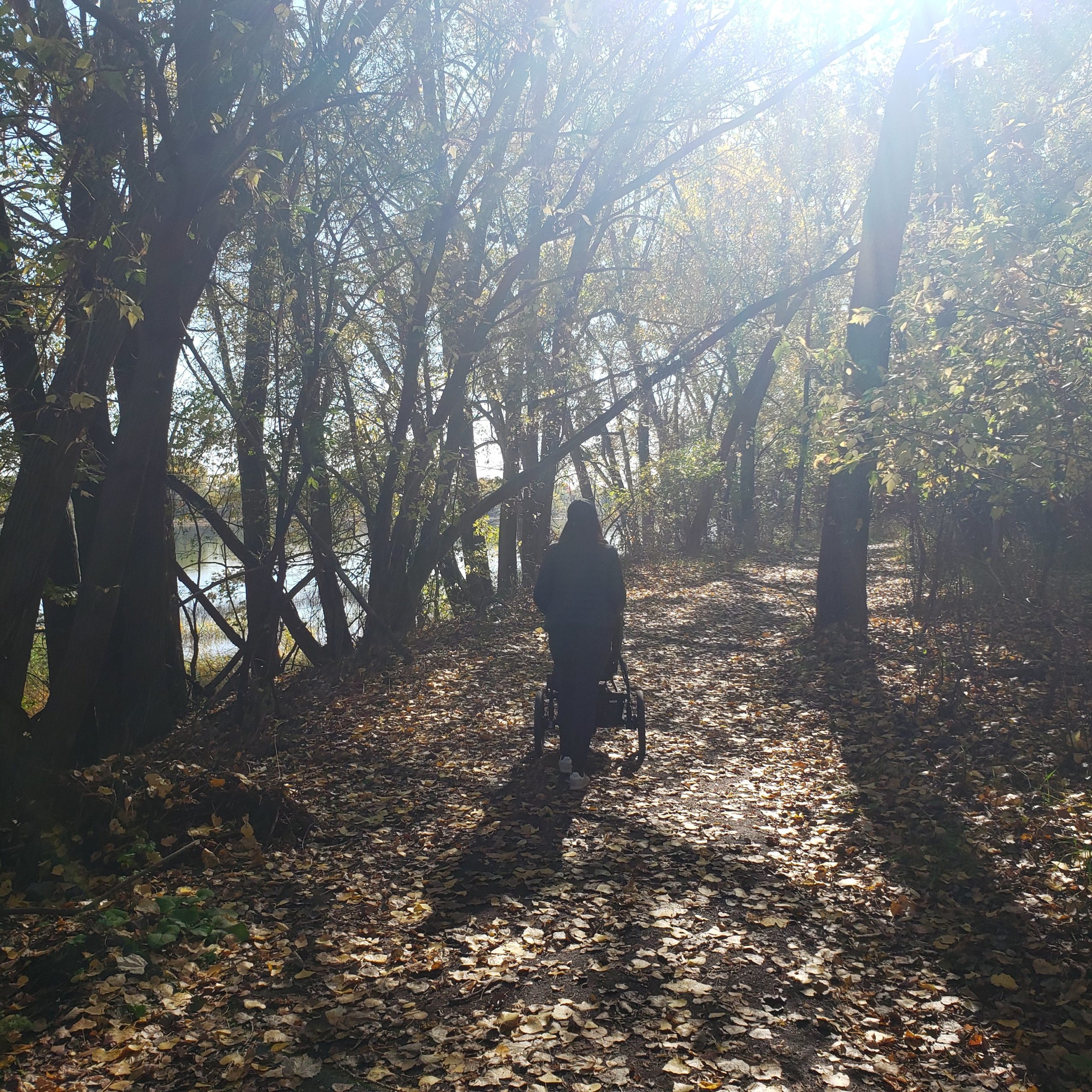 L&rsquo;histoire de mes premiers jours