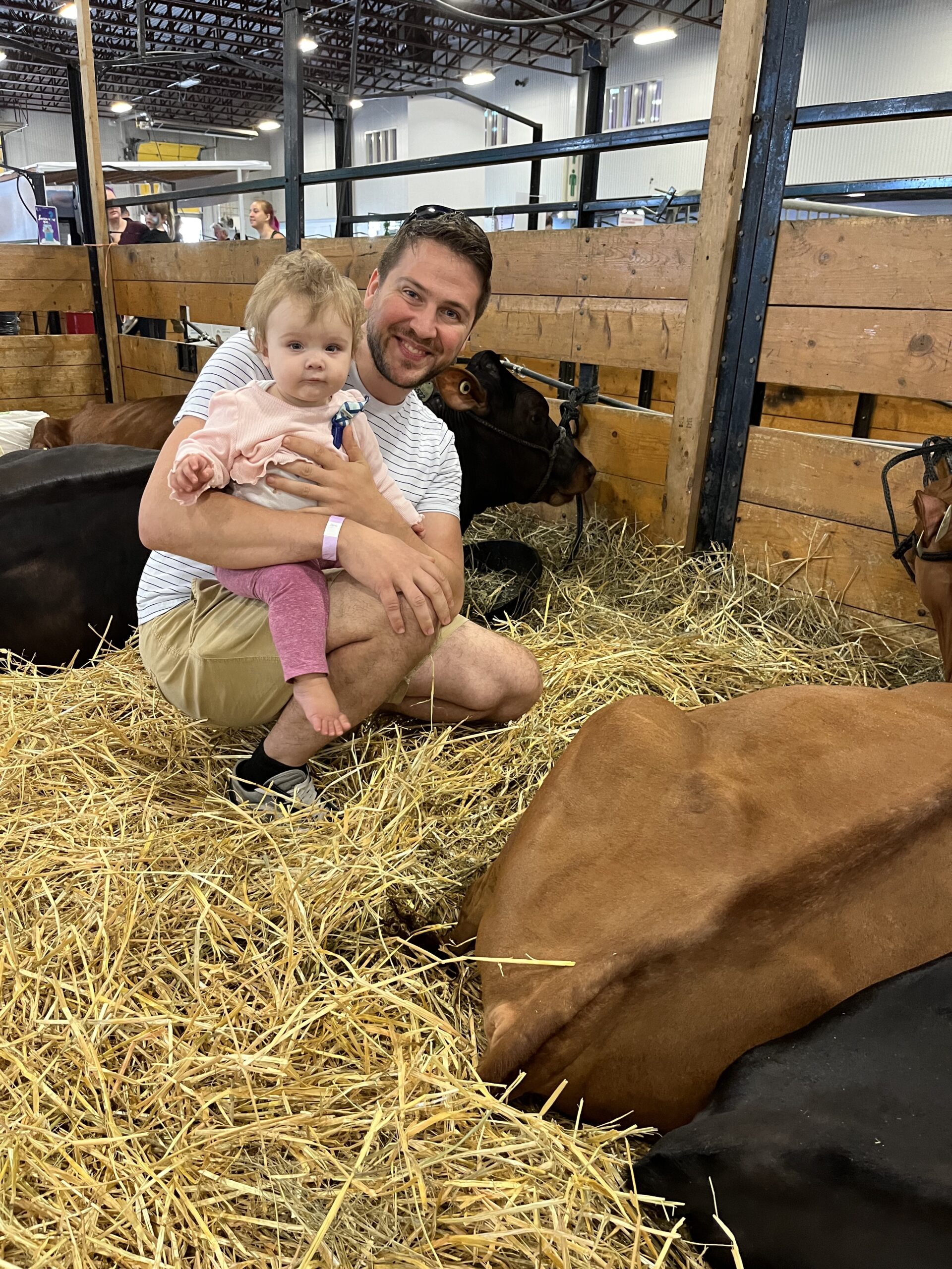 Il n&rsquo;y a pas que moi qui marche à quatre pattes