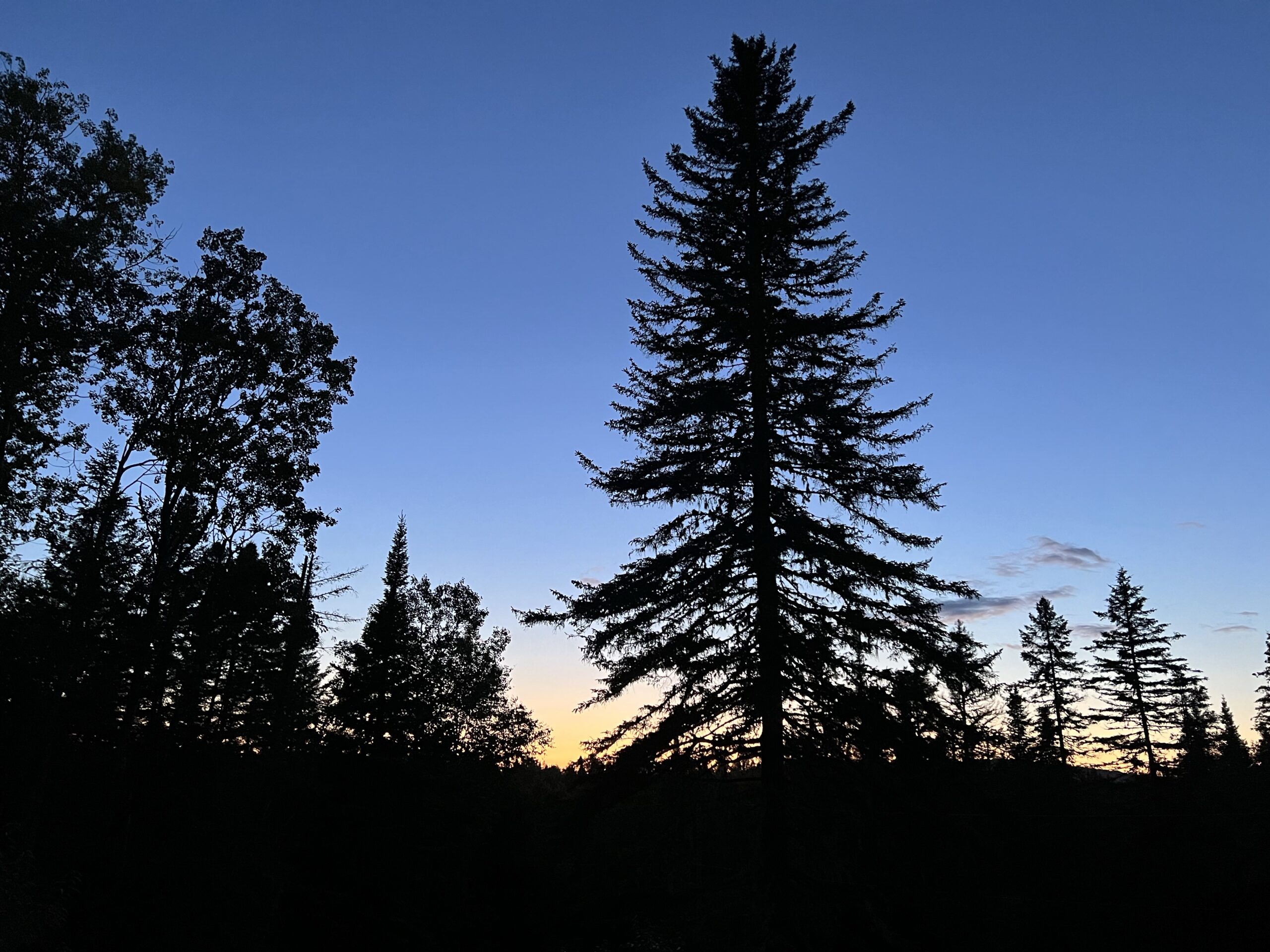 Je découvre le concept de chalet