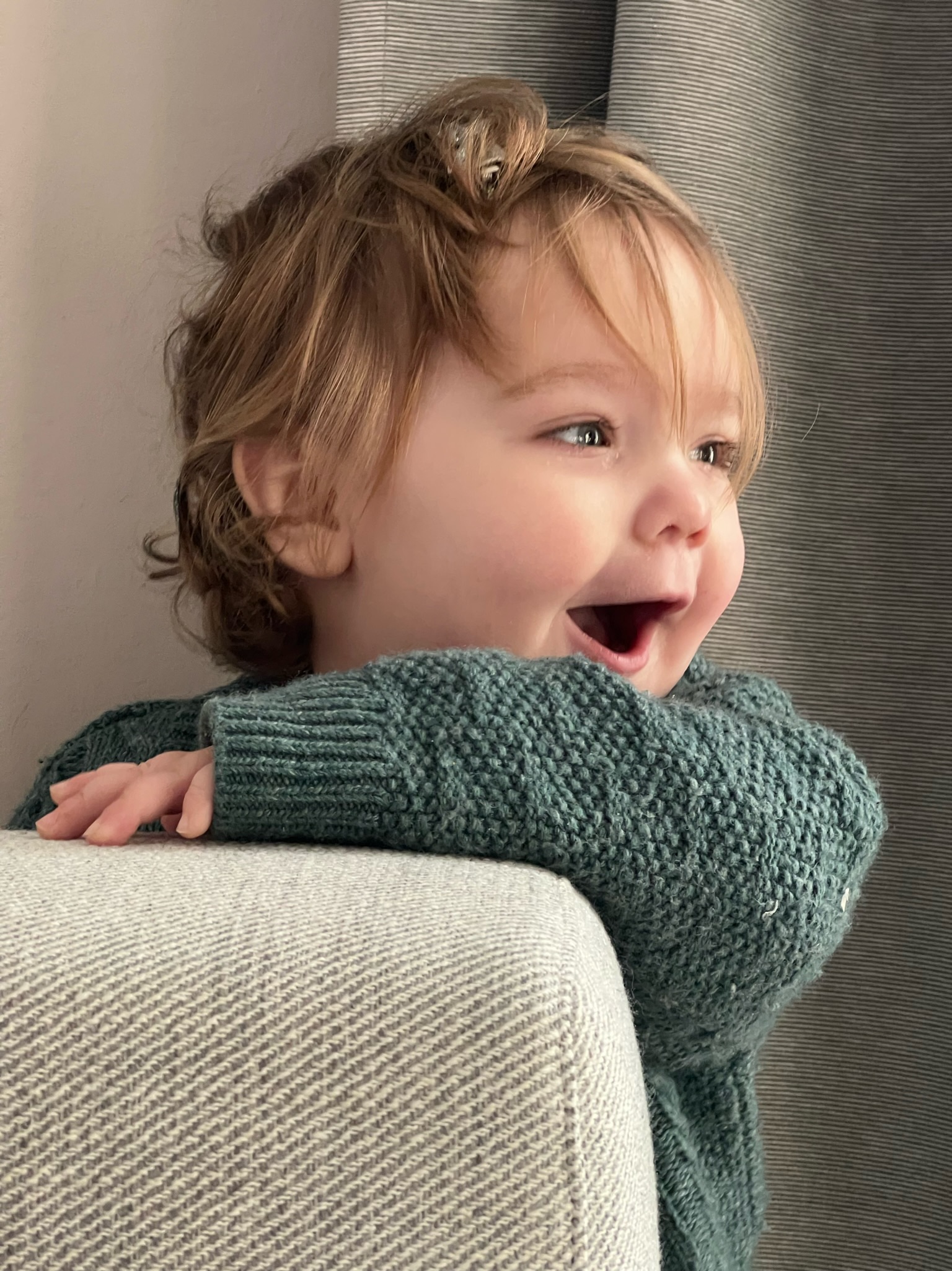 Je ne suis plus une chenille, je suis une coccinelle