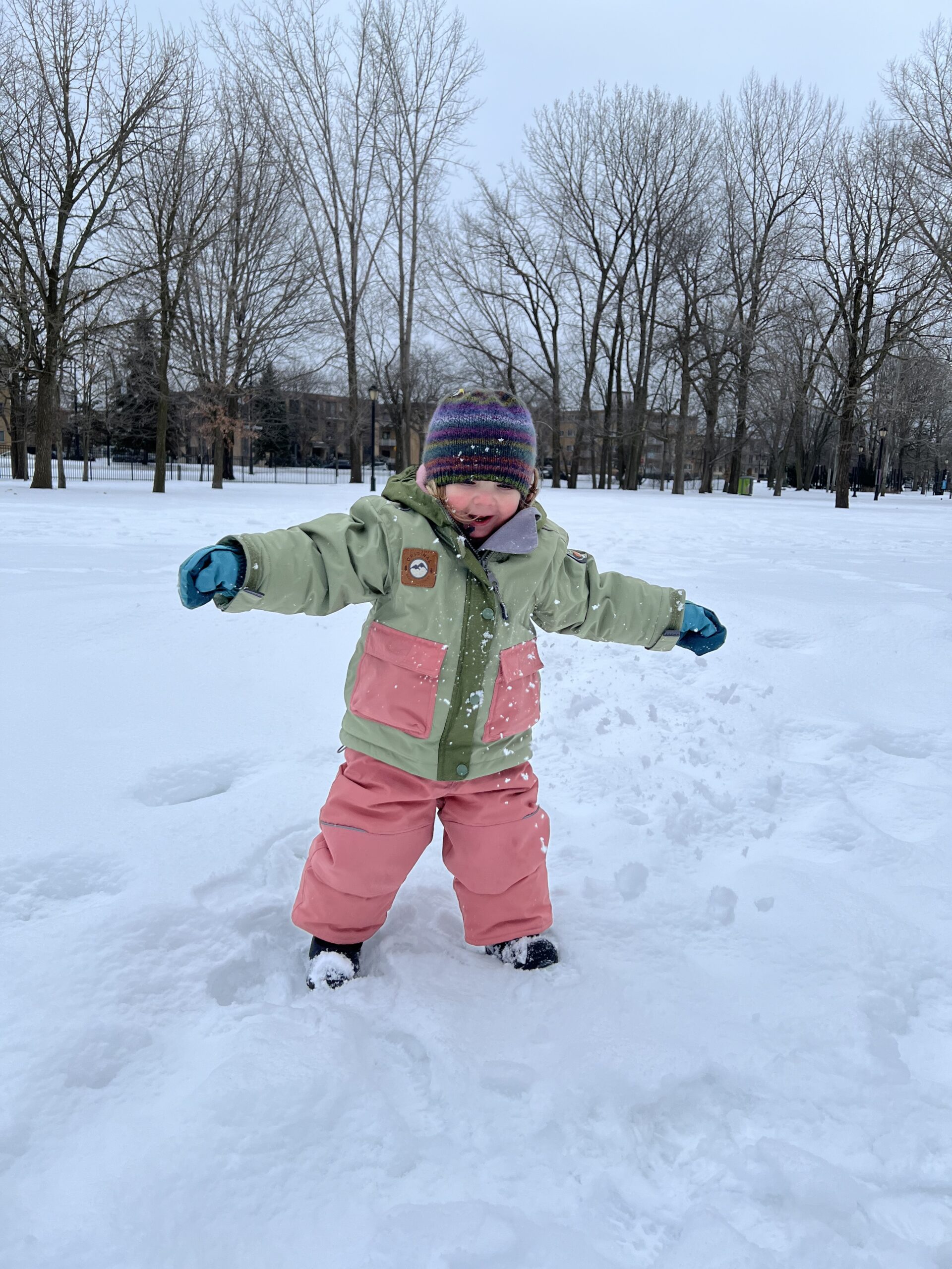 Il y a enfin un peu de neige !